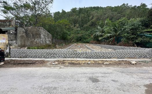 Bán Đất Phường Đông Lĩnh, Thanh Hóa – Quỹ Đất 400m2 Vị Trí Đẹp